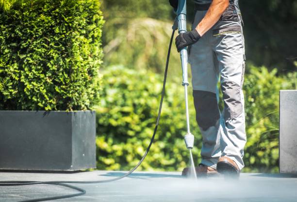 Best House Exterior Washing  in Penn Valley, CA